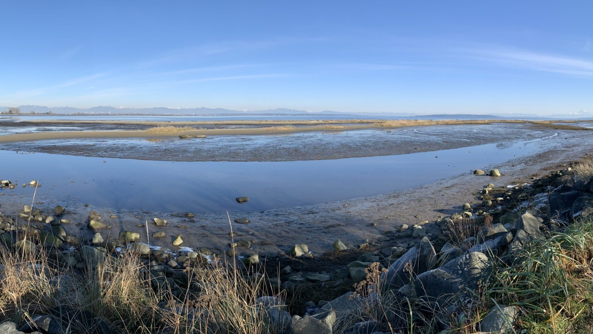 A blue, rocky beach with long grasses in the foreground and sandbars in the background
